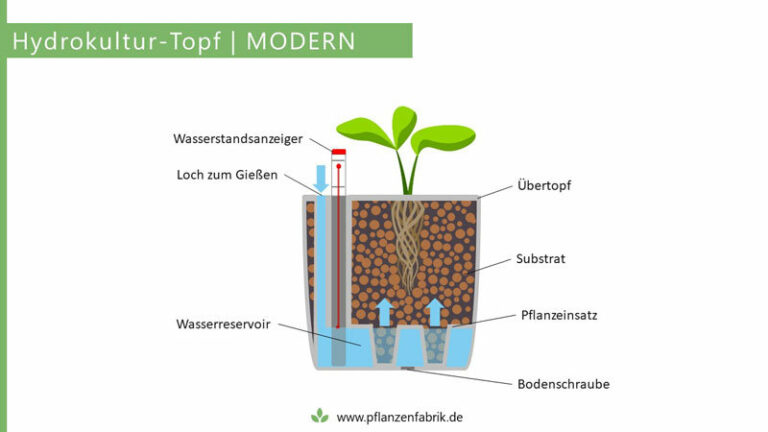 HydrokulturTopf In 5 Minuten zum richtigen Topf (GUIDE + Vergleich)