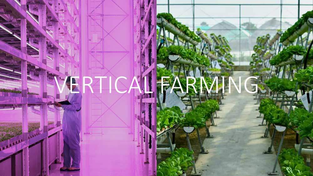 vertical farming bzw. vertikale Landwirtschaft